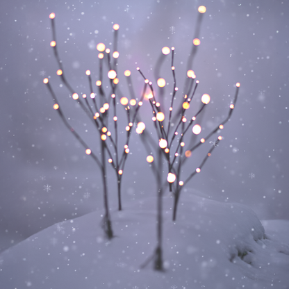 Festive Branch Pathway Lights