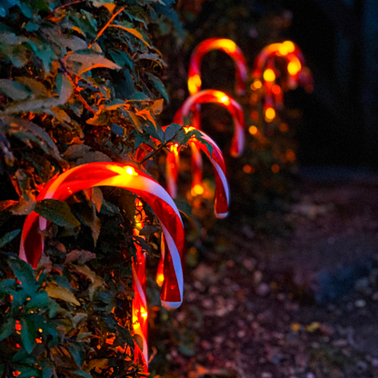 Festive Candy Cane Lights