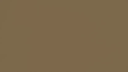 Moisture Meter for Logs, Timber and Brickwork